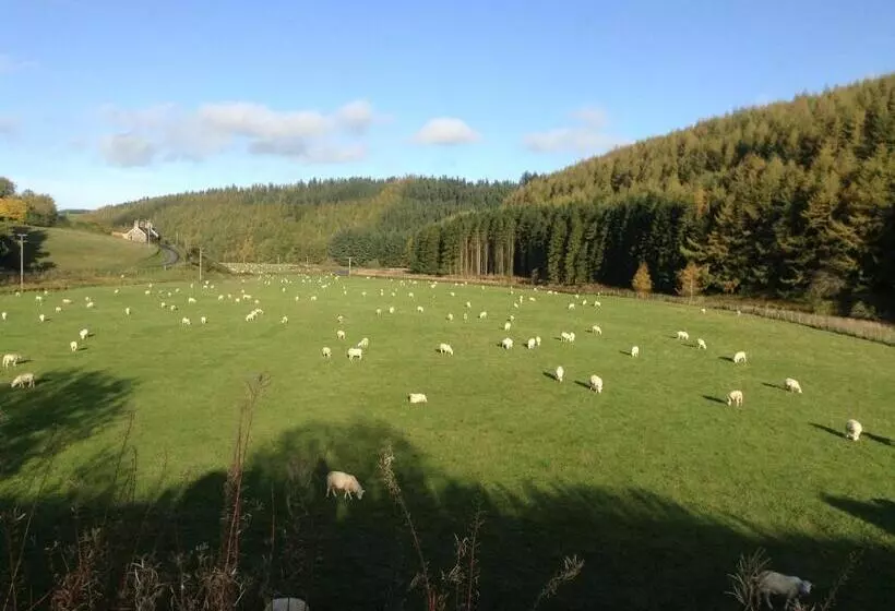 Majatalo Green Hope Guest House