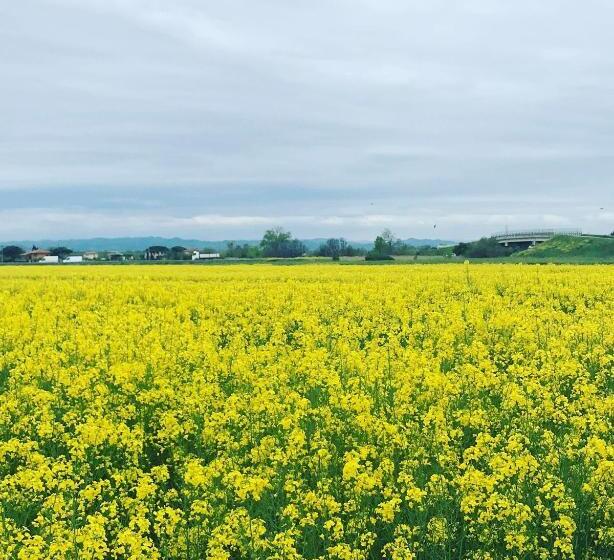 ベッドアンドブレックファースト La Mimosa