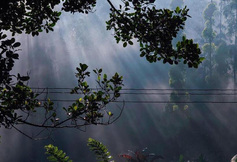 تختخواب و صبحانه The Nirwana Cottage