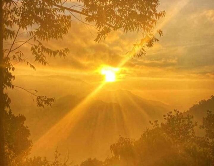 تختخواب و صبحانه The Nirwana Cottage