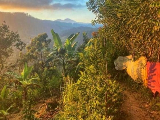 تختخواب و صبحانه The Nirwana Cottage