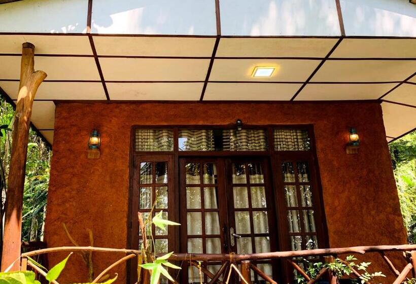 تختخواب و صبحانه The Nirwana Cottage