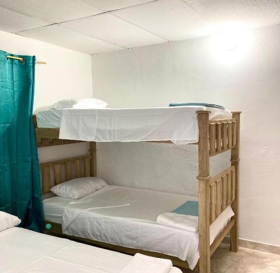 ベッドアンドブレックファースト Aurelia Compartida Hospedaje