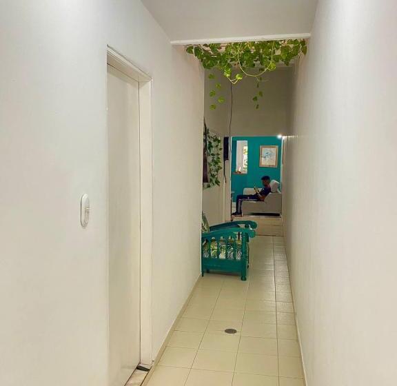 ベッドアンドブレックファースト Aurelia Compartida Hospedaje