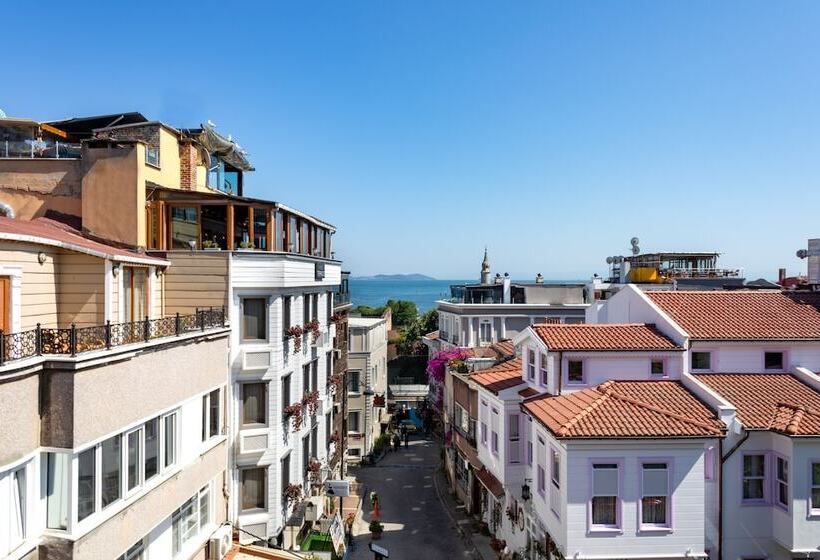 Bed and Breakfast Bender