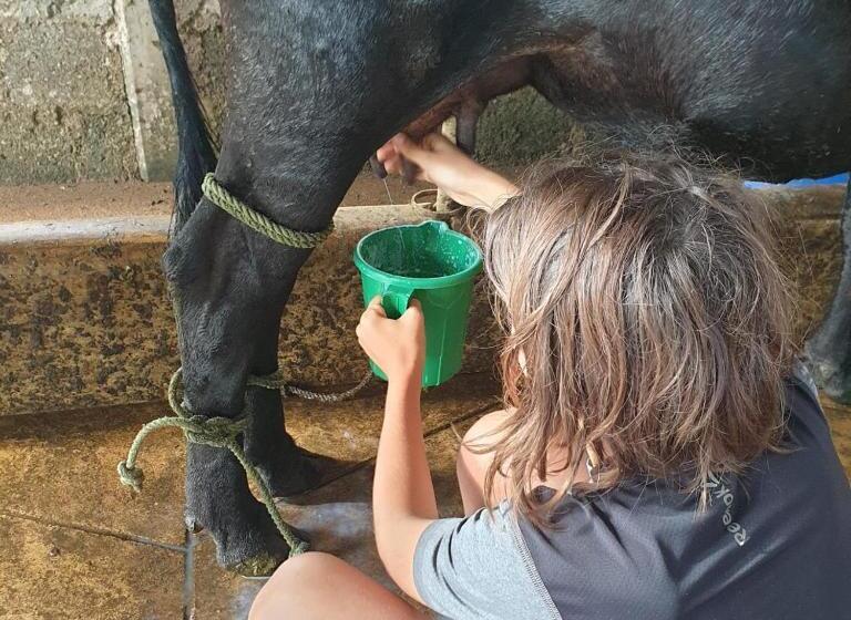 Hotel Monara Arana Farm Resort