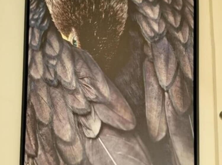 Deville At Healesville