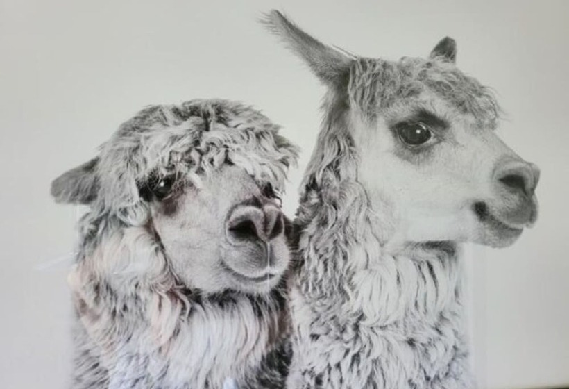 Deville At Healesville