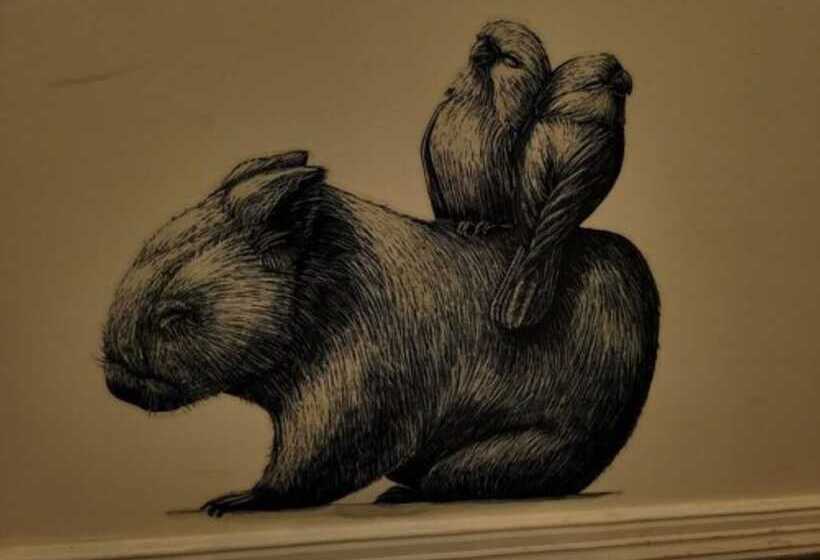 Deville At Healesville