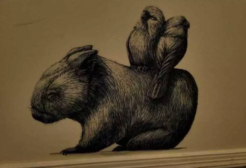 Deville At Healesville