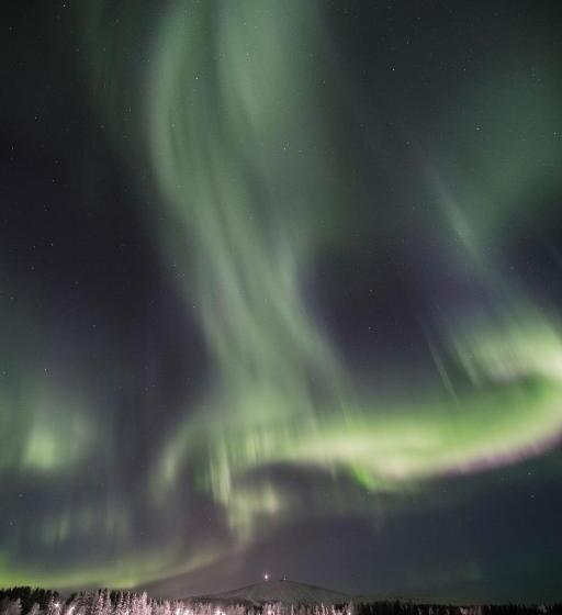 Отель Aurora Estate