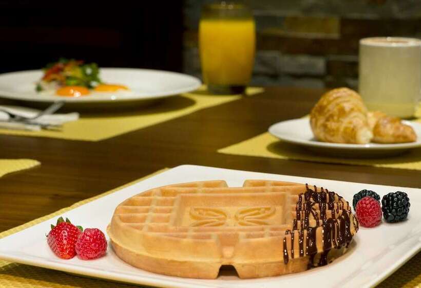 هتل Hilton Garden Inn Dubai Deira