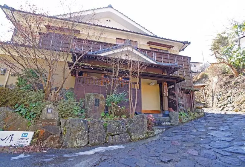 هتل Hot Spring Inn Banya