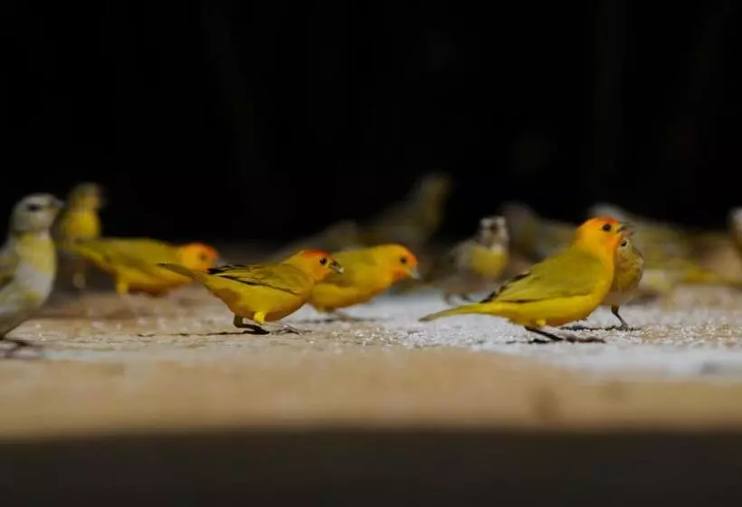 Hotel La Nube Posada