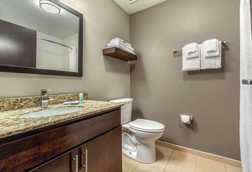 فندق Mainstay Suites Lincoln University Area