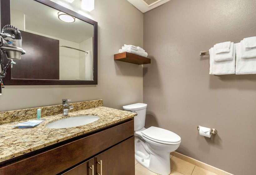 فندق Mainstay Suites Lincoln University Area