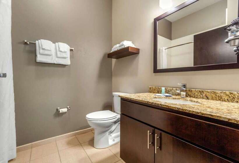 فندق Mainstay Suites Lincoln University Area