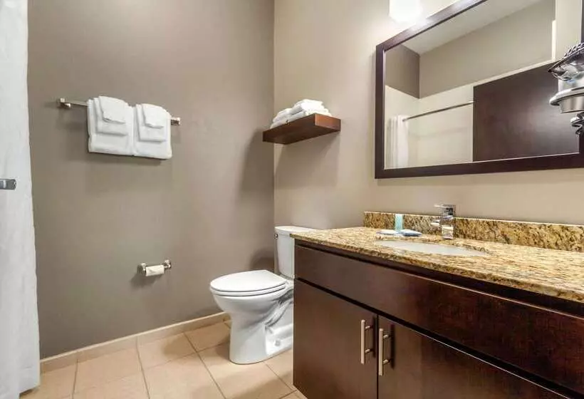 هتل Mainstay Suites Lincoln University Area