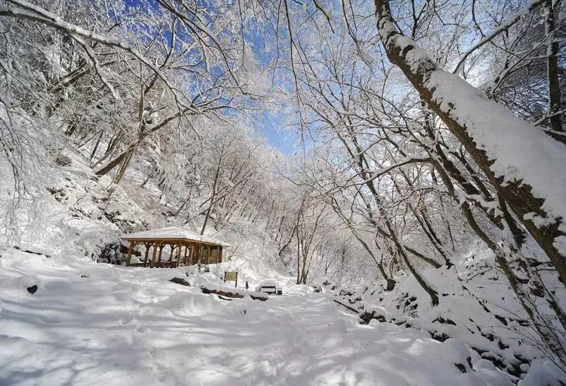 Hotel Shukubo Komadori Sanso
