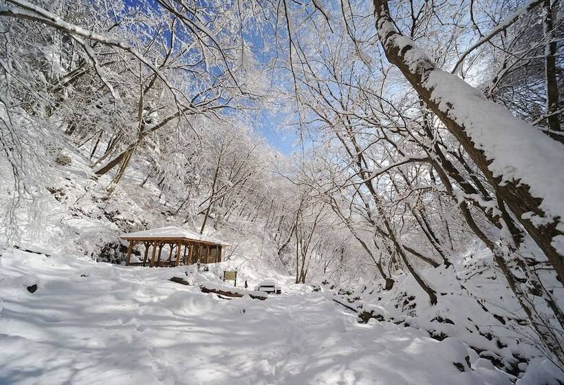 호텔 Shukubo Komadori Sanso