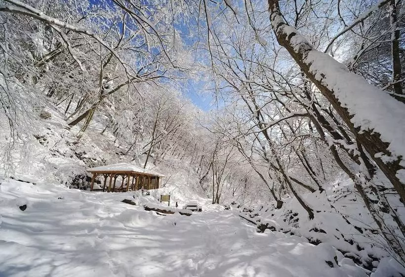 Hotel Shukubo Komadori Sanso