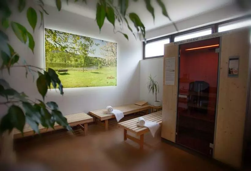 בית מלון כפרי Steuer