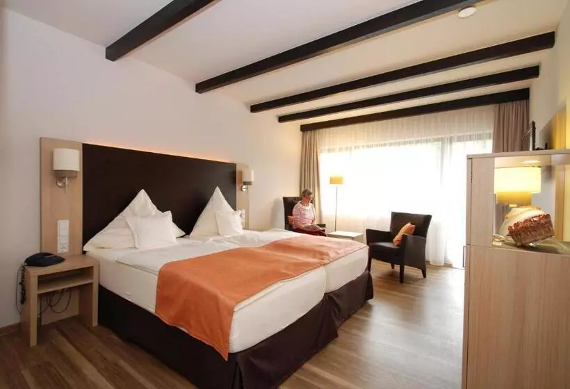 בית מלון כפרי Steuer