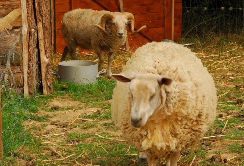 فندق Village Toue Du Domaine Des Demoiselles