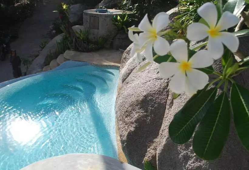 Monkey Flower Villas