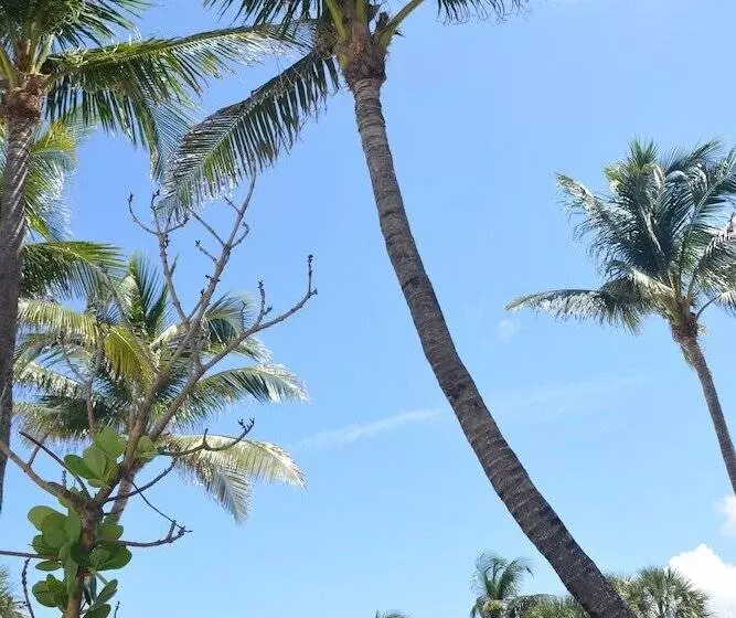 New Point Miami Beach Apartments