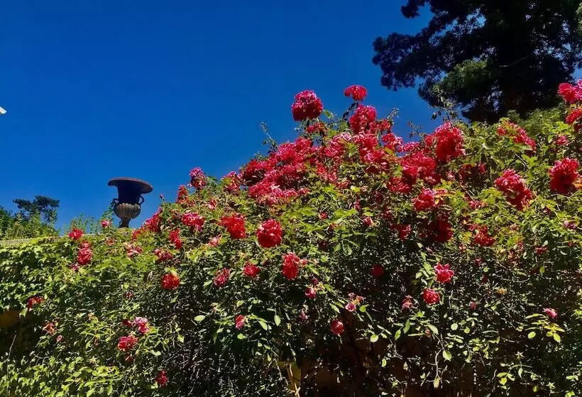 פנסיון Château Les Vallées