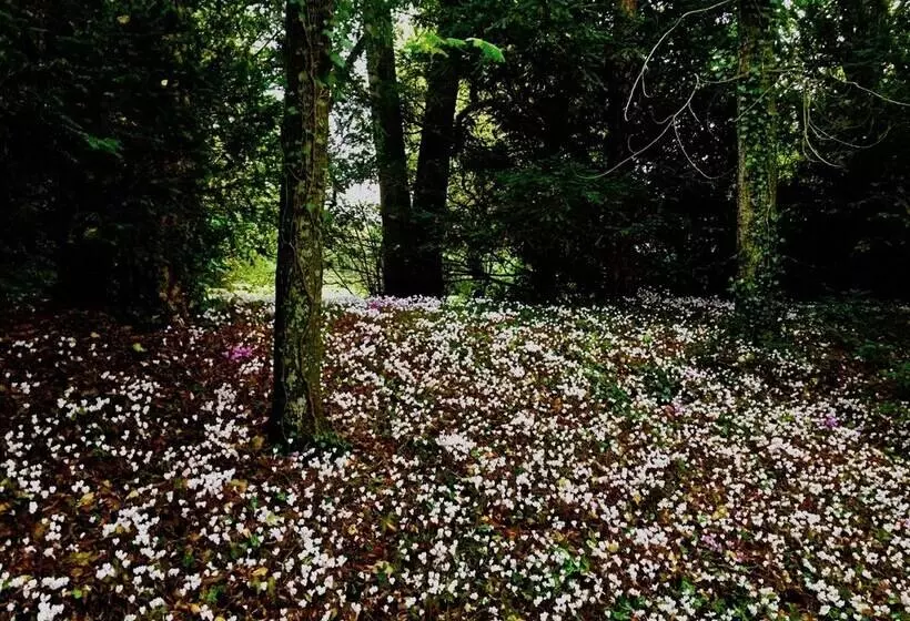 פנסיון Château Les Vallées