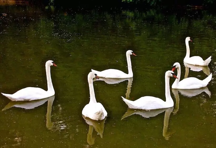 פנסיון Château Les Vallées
