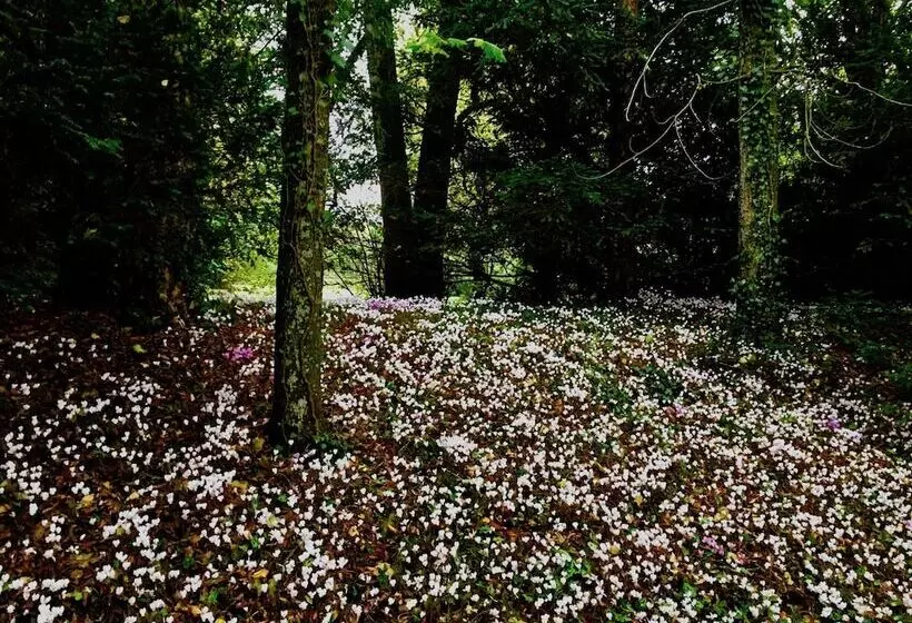 פנסיון Château Les Vallées