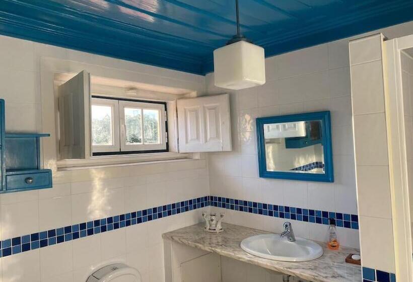 مبيت وإفطار Casa Da Ponte, Coja