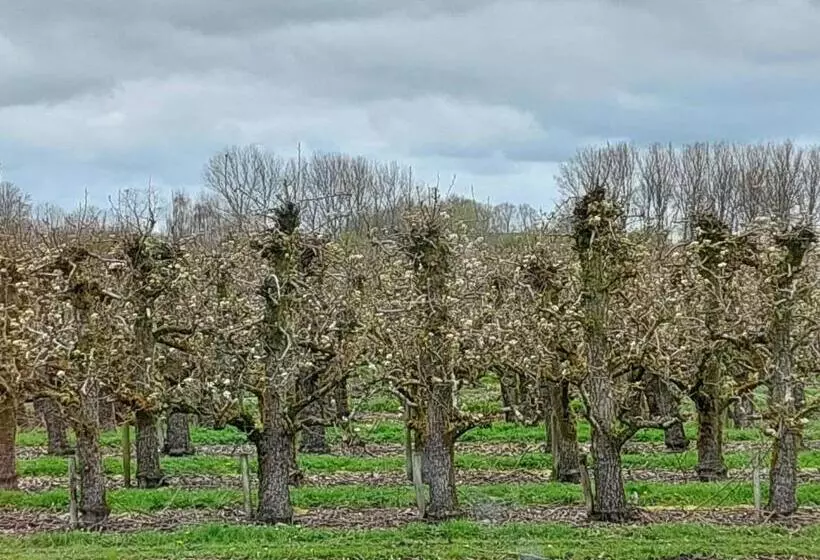 Aamiaismajoitus (B&B) Chalet Conference 6 Pers