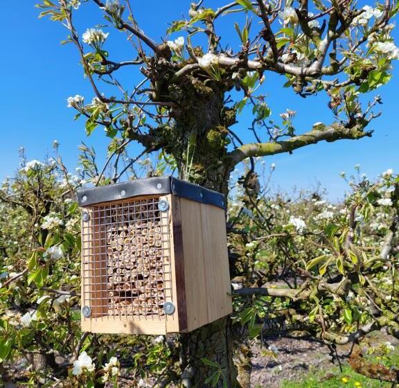 مبيت وإفطار Chalet Conference 6 Pers