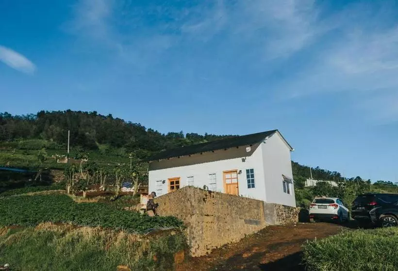 ホテル Awana Farmhouse Dieng