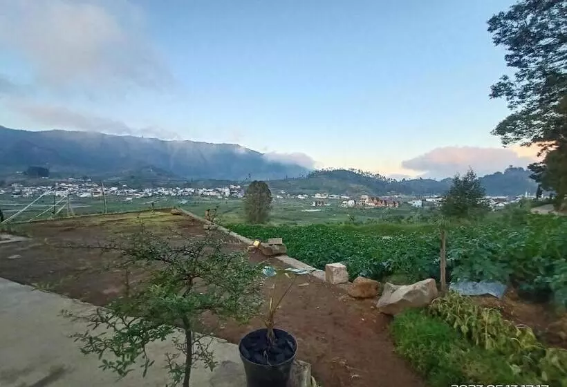 ホテル Awana Farmhouse Dieng