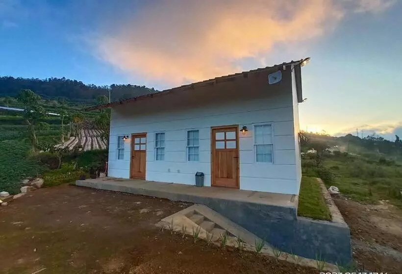 ホテル Awana Farmhouse Dieng