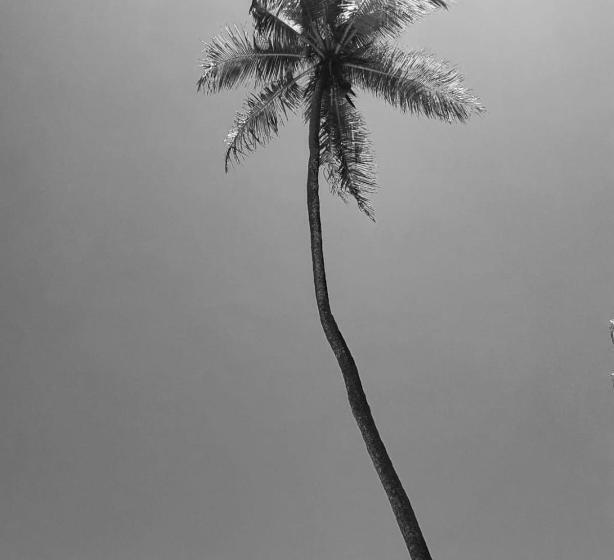 Pelados Beach Hostel