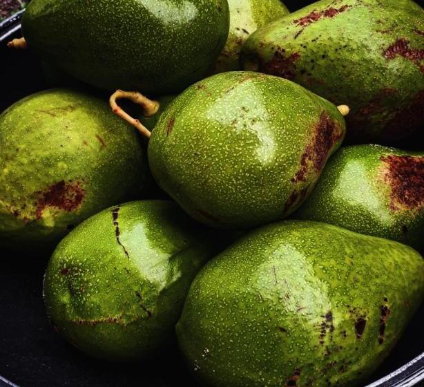 Pelados Beach Hostel