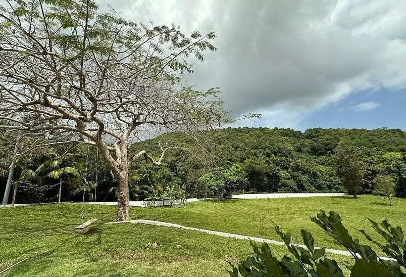 The Serene House Bed & Breakfast