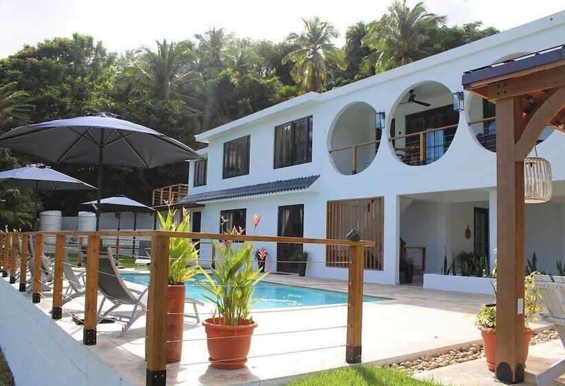 The Serene House Bed & Breakfast