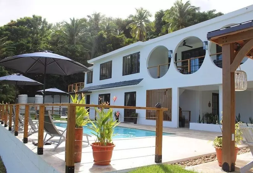 The Serene House Bed & Breakfast