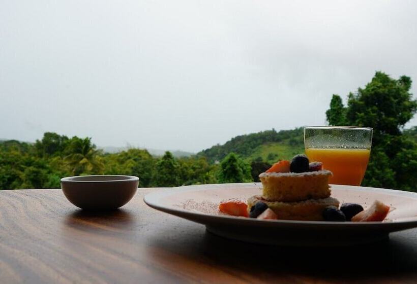 The Serene House Bed & Breakfast