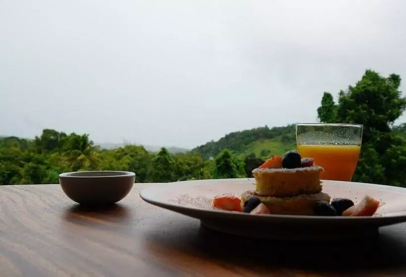 The Serene House Bed & Breakfast