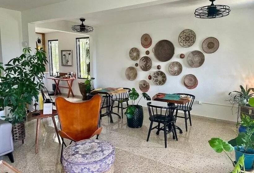 The Serene House Bed & Breakfast