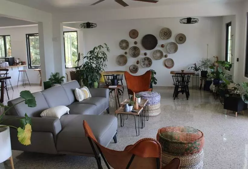 The Serene House Bed & Breakfast