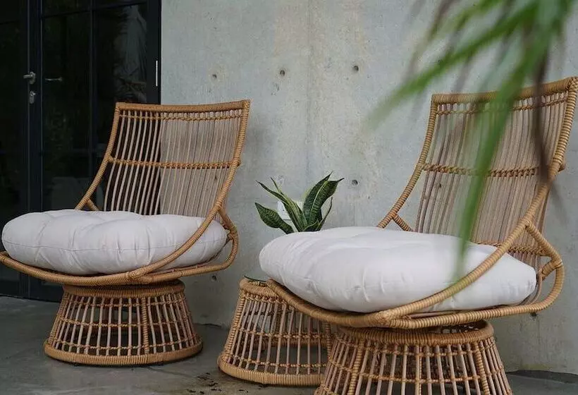 The Serene House Bed & Breakfast